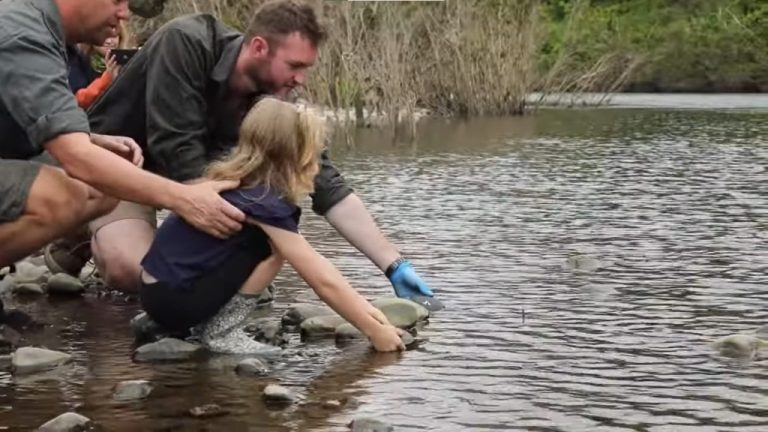 Endangered Manning River Turtles Released into Wild After Egg Rescue During ‘Black Summer’