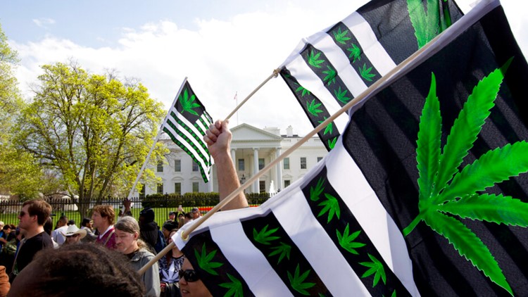 Legal marijuana was on the ballot in 5 states. Here’s how they voted.