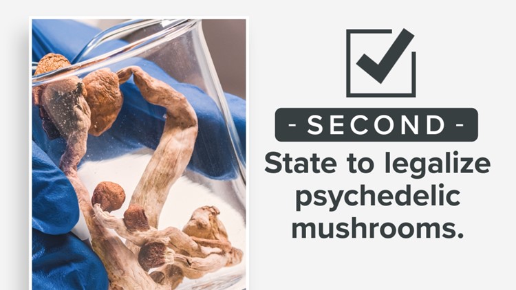 Colorado voters pass Proposition 122 to legalize ‘magic mushrooms’