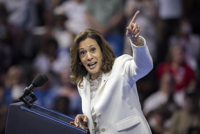 Harris Dives Deep Into a Word Salad, Reveals Why She Should Never Have Power, Then Skewers Her Policy