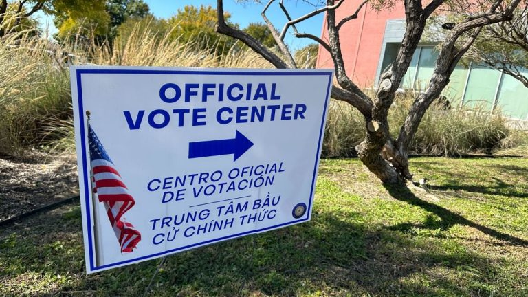 Voter fraud data from group behind Project 2025 shows few instances of noncitizen voting in Texas