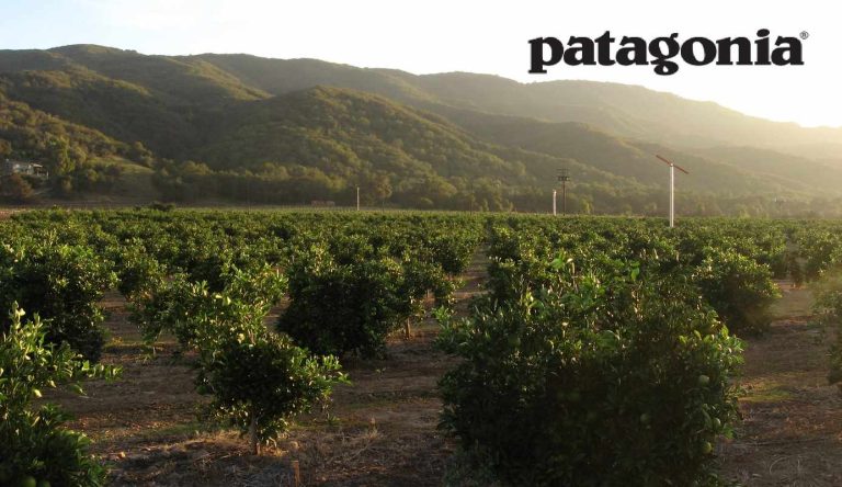 Patagonia Helping to Revolutionize California’s Farms with $1 Million Grant