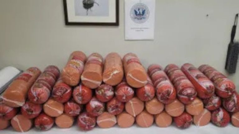 US Border Patrol seizes, destroys 748 pounds of Mexican bologna at Texas port of entry