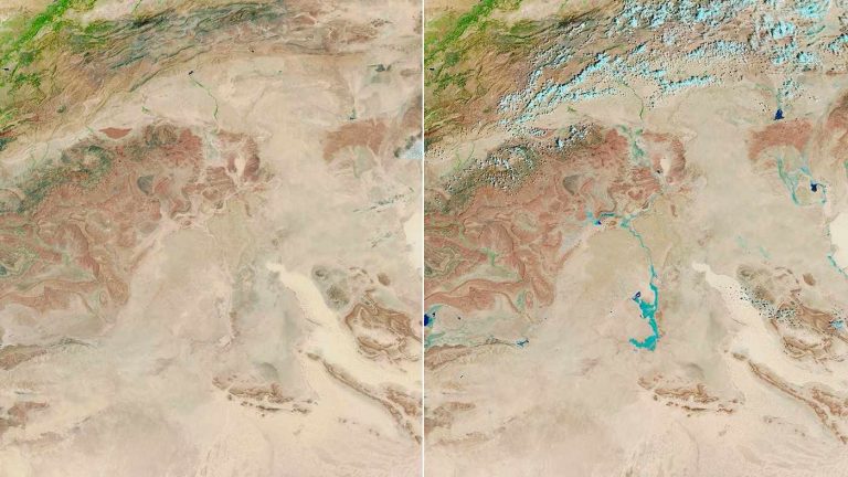 Sahara Desert Is Turning Green Amid Unusual Rains in Parts of North Africa