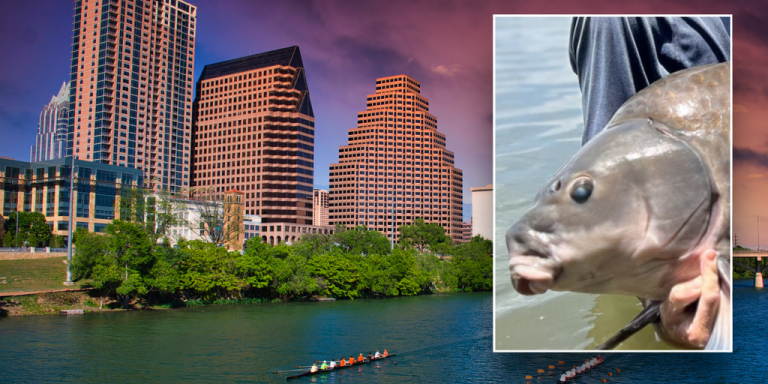 Angler catches record-breaking 71-pound fish in infamous Texas lake