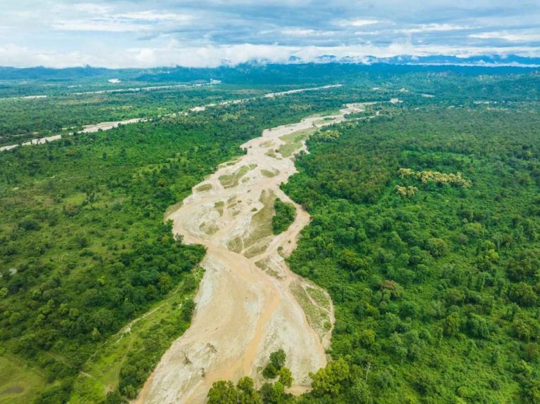 Inspired by Avatar and His Asthma, Indian Man Creates ‘Biosphere’ to Connect Adjacent Land to National Park