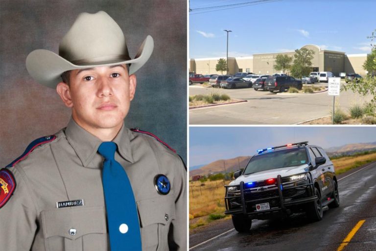 Texas state trooper dies after being hit by vehicle: ‘Lived a life of…