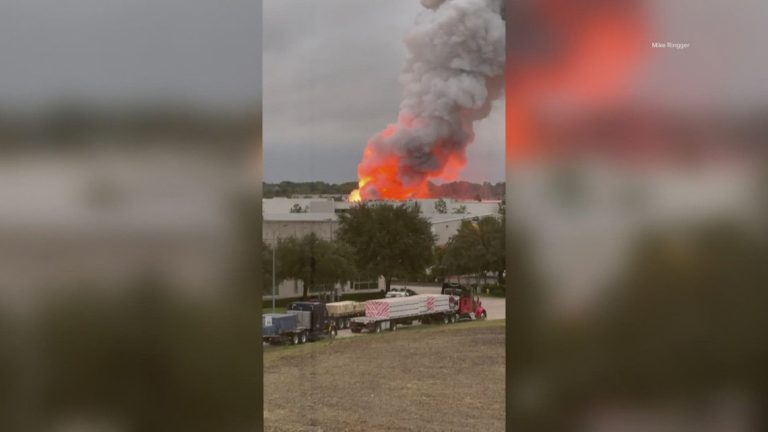 Texas pool supply business goes up in flames