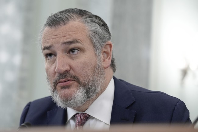 Ted Cruz’s Rant About Antisemitism Triggers Antisemite During Hearing, Proving His Point