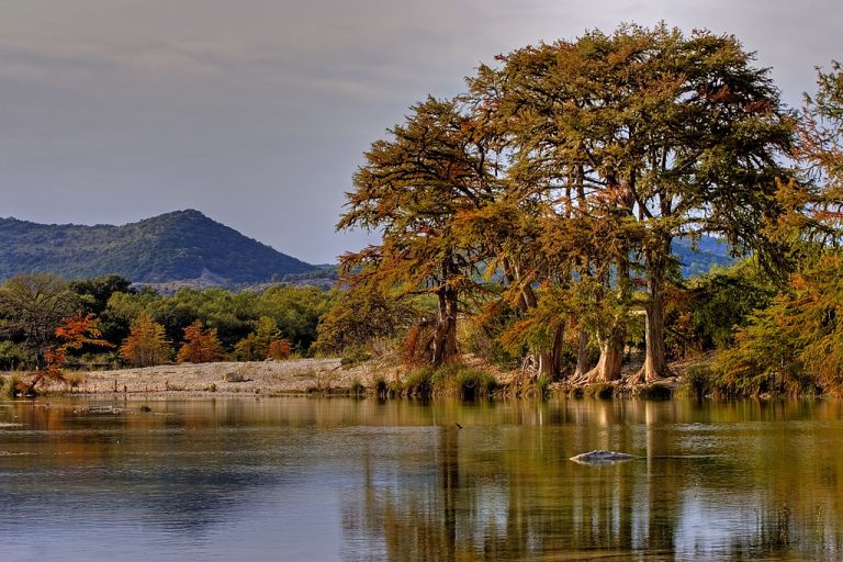 3 spots in the Texas Hill Country to find gorgeous fall foliage