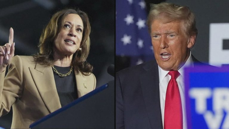 New UT poll shows where Trump and Harris, Cruz and Allred stand in Texas