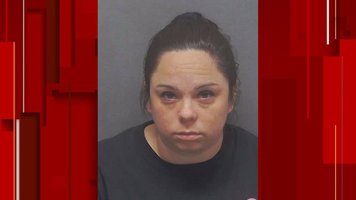 BCSO files two new charges against babysitter arrested for dog attack that killed 1-year-old