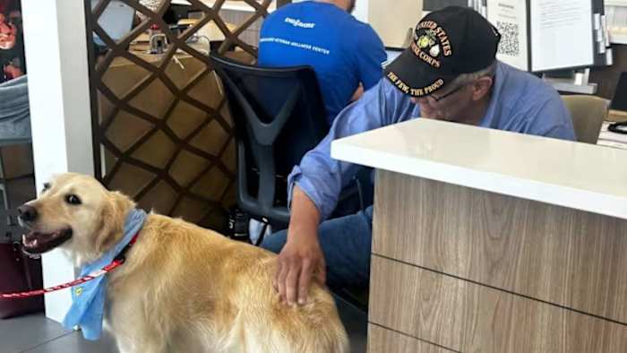 Free therapy dog at Endeavors helps veterans with anxiety, PTSD