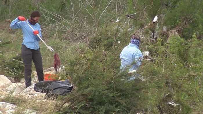 San Antonio River Authority to thin out trees along Mission Reach riverbanks