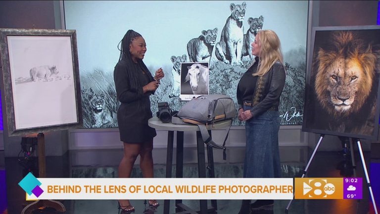 Behind the Lens of Wildlife Photographer Joani White