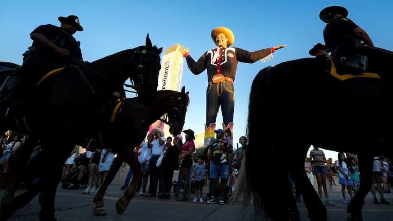 Police horse throws off officer, injuring patron at State Fair of Texas