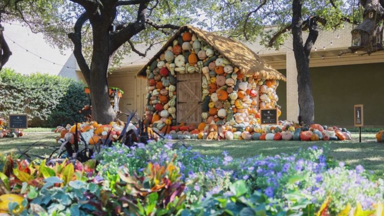 Celebrating Halloween season in North Texas