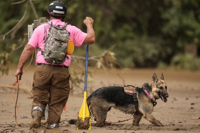 Heroes of the Hurricane: From Dolly Parton to a Bunch of Mules