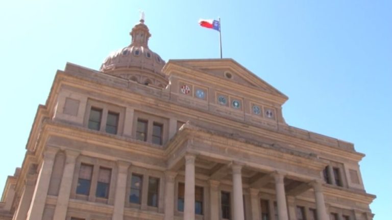 Election 2024: The Texas Legislature