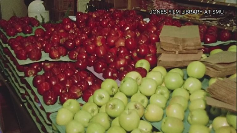 WFAA Rewind: Why apple picking isn’t a popular trend in Texas