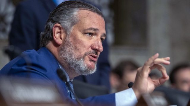 Cruz calls out McConnell-aligned group for not spending ‘a penny’ in Texas