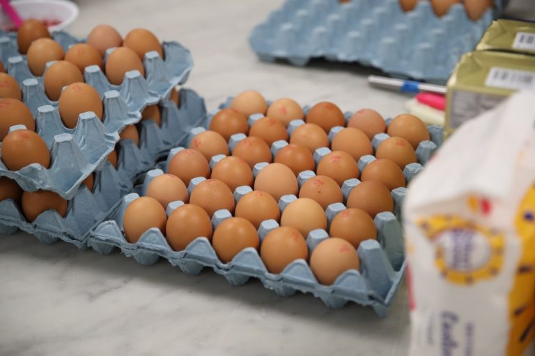 Texas Fridge Check – FDA Upgrades Recall on Fresh Eggs