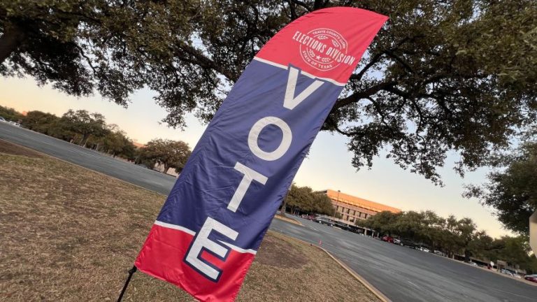 Was your 2024 election ballot counted? Texas voters can check here