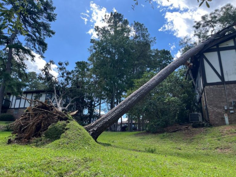 American Red Cross of Central & South Texas needs shelter volunteers for Hurricane Helene relief