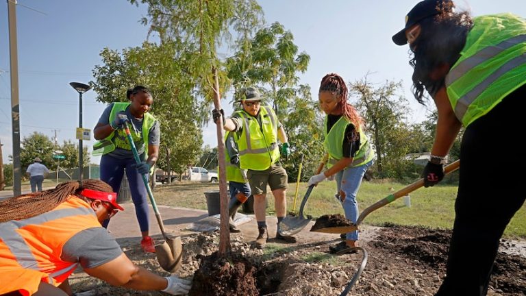 Dallas officials seeking volunteers to help keep city parks green