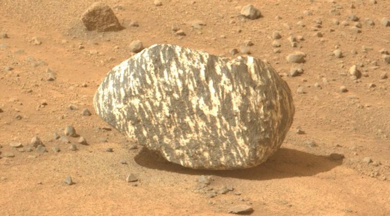 Strange Rock Found on Mars with Zebra Markings Has NASA Scientists ‘Excited’