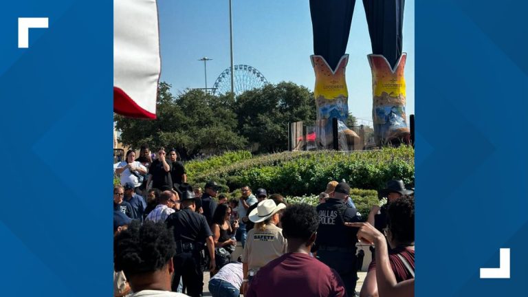 Person injured by spooked police horse at the State Fair of Texas