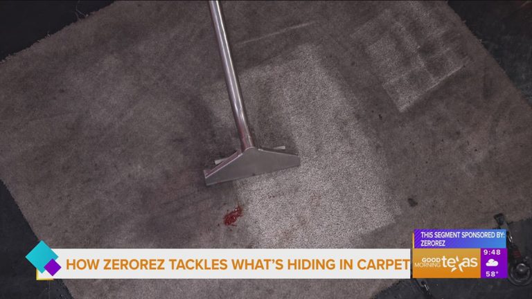 Sponsored: How Zerorez Tackles What’s Hiding in Carpet