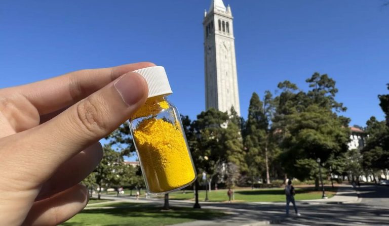 Eight Ounces of This Powder Removes as Much CO2 from the Air as a Tree