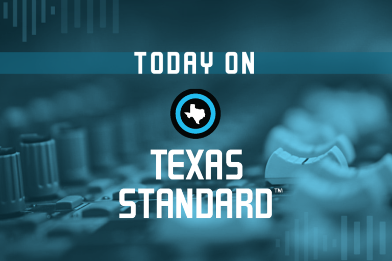 Texas Standard for Oct. 29, 2024: Brazos County voters to decide whether livestock should roam free or be fenced in