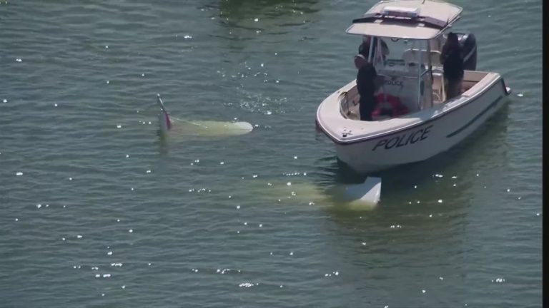 One man dead after plane crash into Eagle Mountain Lake in Tarrant County, officials say