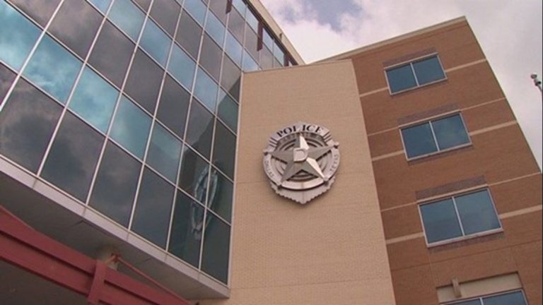 Dallas officials name new interim chief of police