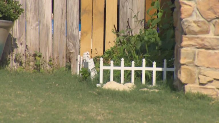 North Texas school teacher explains why he believes he had to shoot and kill his neighbor’s dog