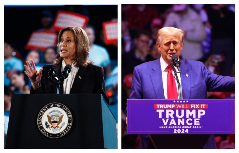 Donald Trump’s MSG rally crowd size compared to Kamala Harris’ Texas event