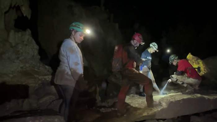 ‘Pretty much unprecedented’: Rare bones found inside Natural Bridge Caverns could shed light on life during Ice Age