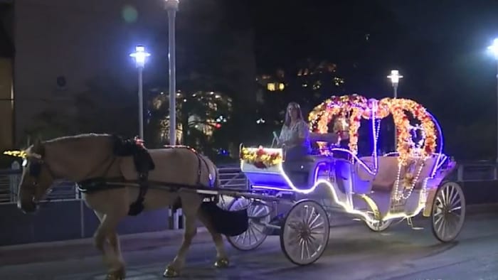 Plan to ban horse-drawn carriages splits San Antonio City Council