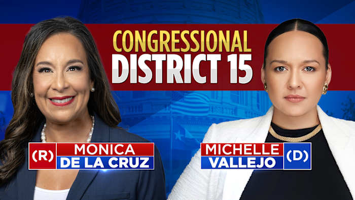 US Representative District 15 election results in Texas on Nov. 5, 2024