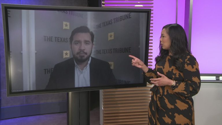 Breaking down the 2024 election results in Texas