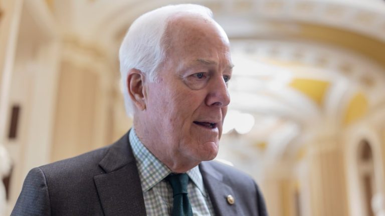 Will John Cornyn become Senate majority leader? He finds out today