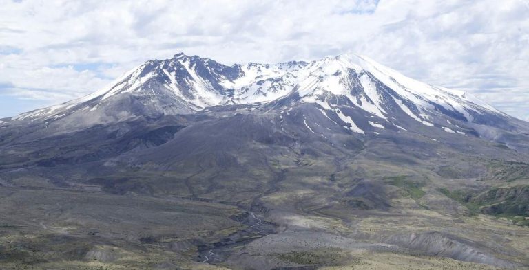 Gophers Brought Mount St. Helens Back to Life in a Single Day–Following Devastating Eruption