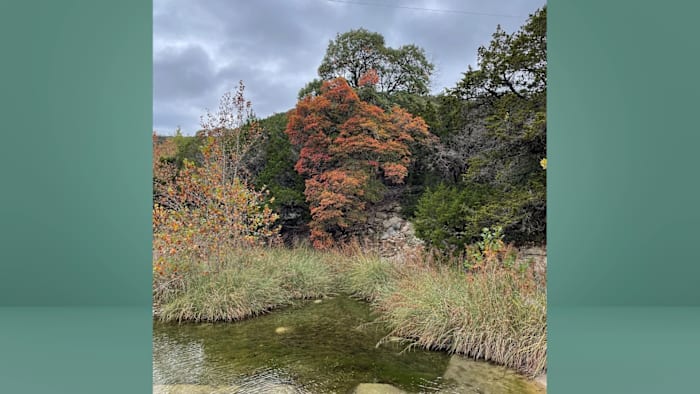 Fall colors set to bloom at Lost Maples State Natural Area