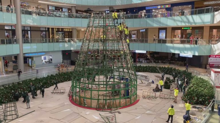 Galleria Dallas putting up its iconic Christmas tree