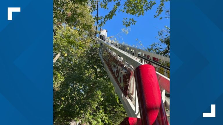 Dallas Fire crews rescue tree trimmer after his leg got stuck between branches