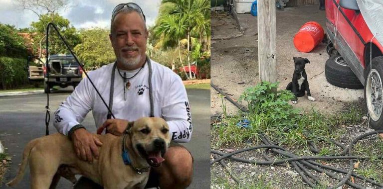 Man Fights Everyday to Help Homeless Pups in Miami’s ‘Dead Dog Alley’