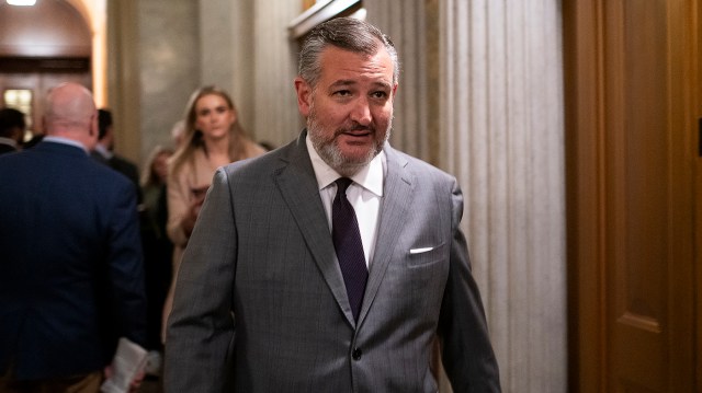 Cruz endorses Scott for Senate majority leader