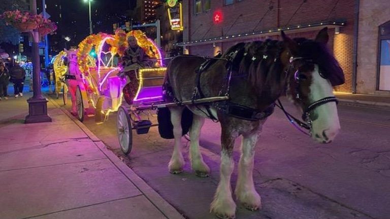 San Antonio to phase out horse carriages by 2030 in compromise plan